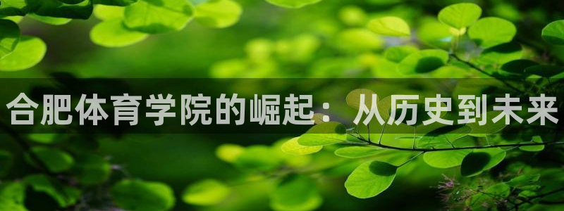 欧亿体育官方正版app开户：合肥体育学院的崛起：从历
