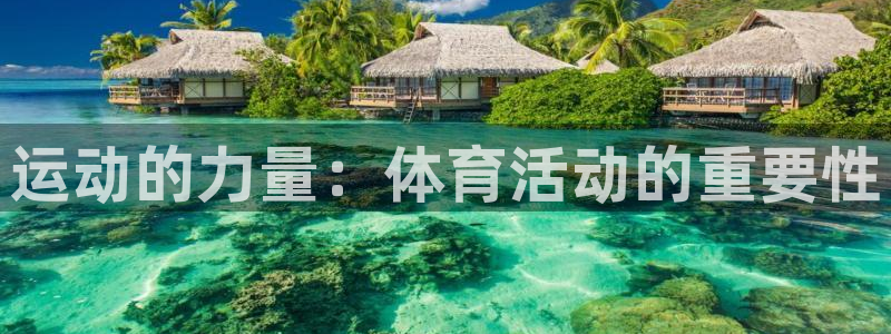 欧亿体育官方正版app娱乐平台：运动的力量：体育活动