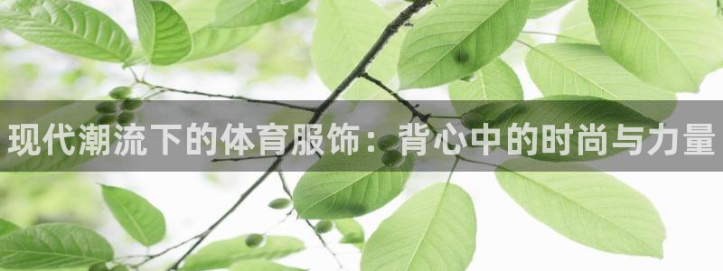 oety欧亿体育官网下载平台是正规平台吗：现代潮流下