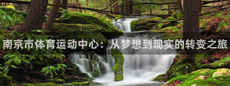 欧亿体育官方正版app集团logo：南京市体育运动中