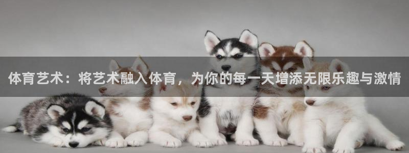 oety欧亿体育官网下载平台APP：体育艺术：将艺术