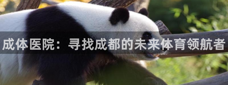 oety欧亿体育官网下载平台注册流程图：成体医院：寻