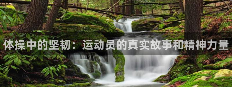 oety欧亿体育官网下载招商电话地址：体操中的坚韧：