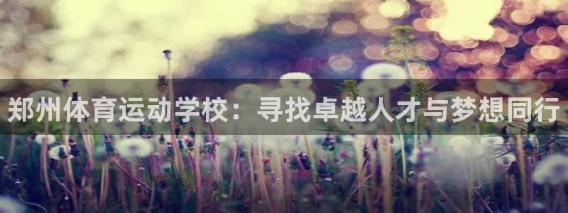 海南oety欧亿体育官网下载：郑州体育运动学校：寻找