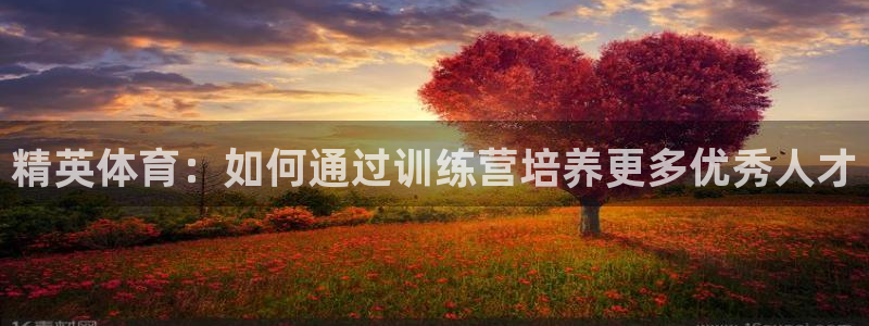 欧亿体育官方正版app娱乐是那个系列的台子：精英体育