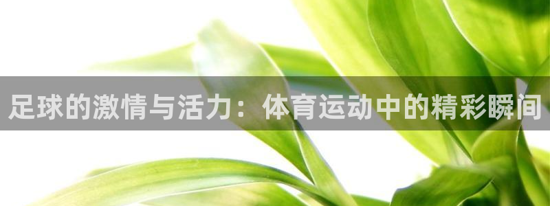 欧亿体育官方正版app集团官网网址：足球的激情与活力：体育运