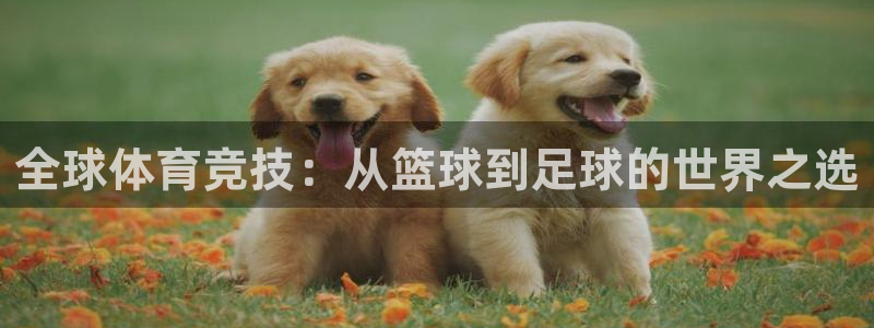 oety欧亿体育官网下载招商电话地址是多少：全球体育竞技：从