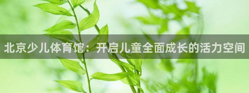 oety欧亿体育官网下载平台注册流程图：北京少儿体育馆：开启