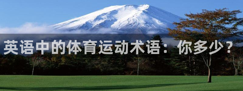 oety欧亿体育官网下载平台注册要钱吗：英语中的体育运动术语